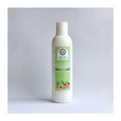 Champú Aloe Vera